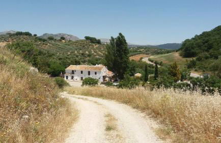 Casa de Luz - Foto 37