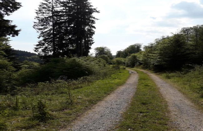 Geraumige Ferienwohnung im Sauerland - Foto 20