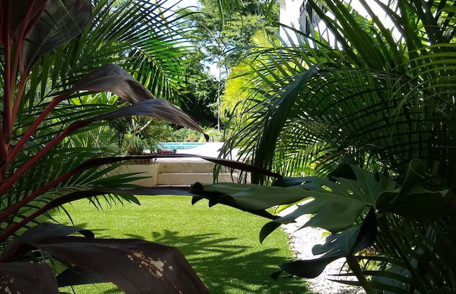 Palm Beach Inn - Foto 29