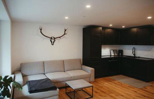 Schwarzwald Loft Menzenschwand - Foto 15