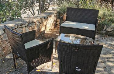 Studio Apartment Mileta - Photo 35