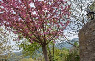Sunray Luxury Apartment Zagora with piano - Foto 47