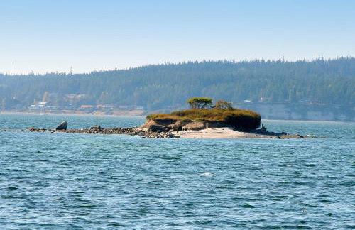 Cozy Cottage by the Sea - Foto 22