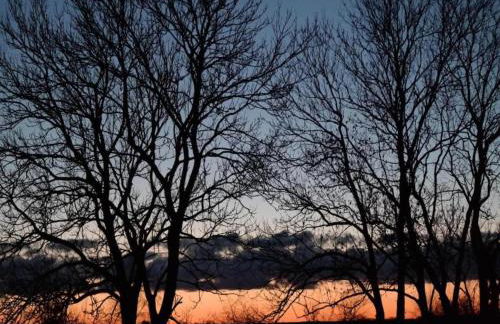 Luxuriose Ferienwohnung in Boddin mit Garten - Foto 63