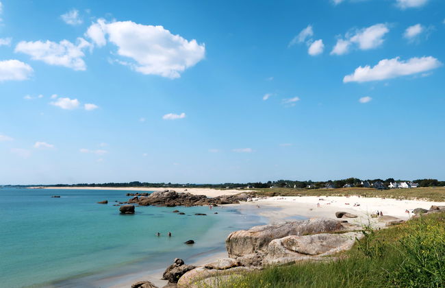 Ty Coat Pin - Foto 25