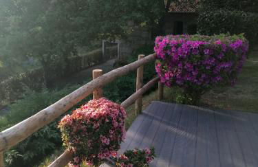 Casa de Férias do Parque da Peneda Gerês - Foto 20