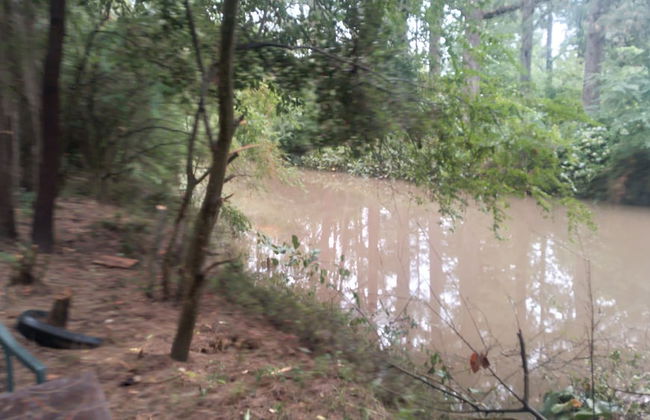 Cabaña del humedal - Foto 48