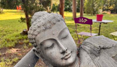 Oasis de verdure en centre-ville - jacuzzi privé - Foto 4, Garden