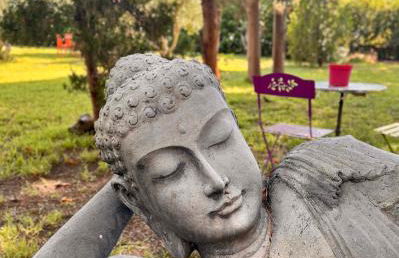 Oasis de verdure en centre-ville - jacuzzi privé - Foto 4