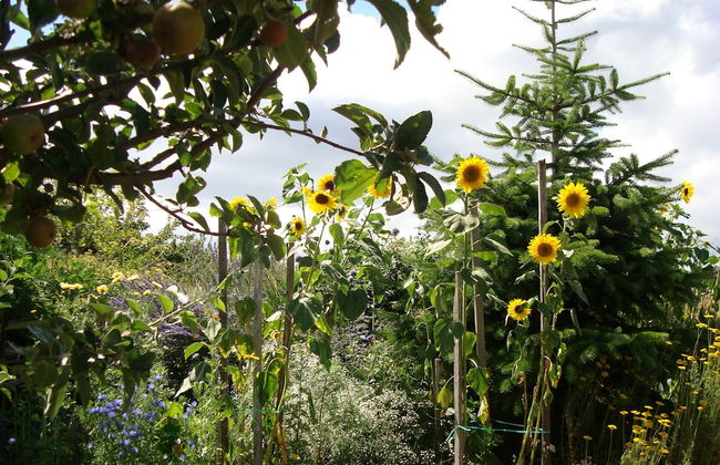 A Casa da Eira - Foto 42