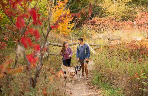 Primrose Studio 1BR Studio near Downtown Beaches Wineries - Photo 36