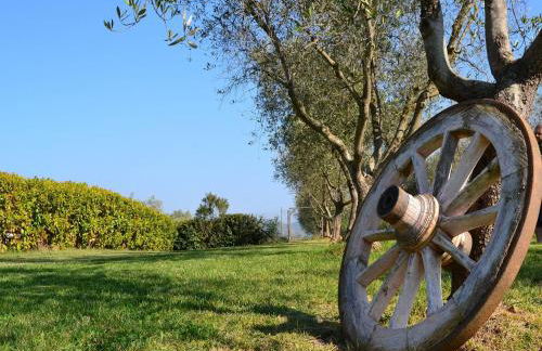 Agriturismo Il Giglio di Sant' Antonio - Foto 21