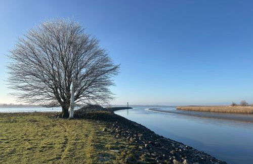 Reetdachkate am Deich - Photo 24