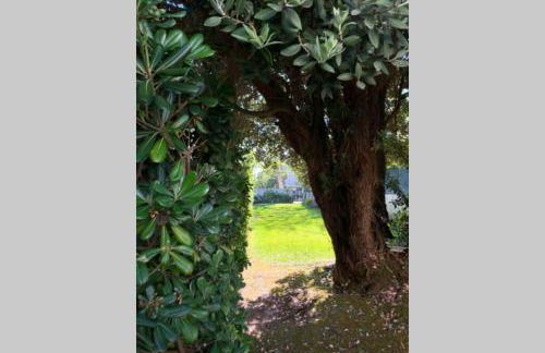 Beach Golf & Garden House - Foto 23