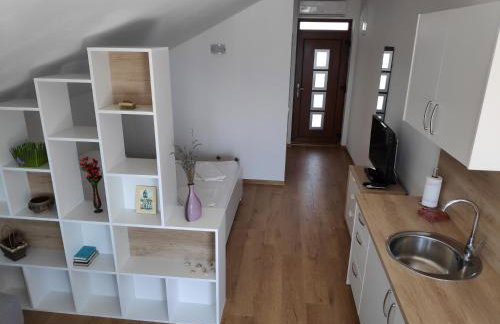 Apartman Anicic - Foto 9