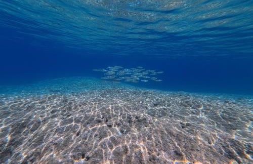 Villa Stefania - Foto 38