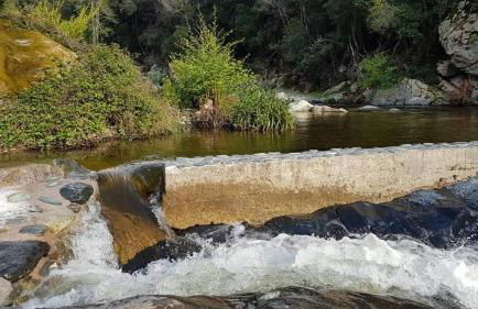 LOCATION CORSE - Foto 19