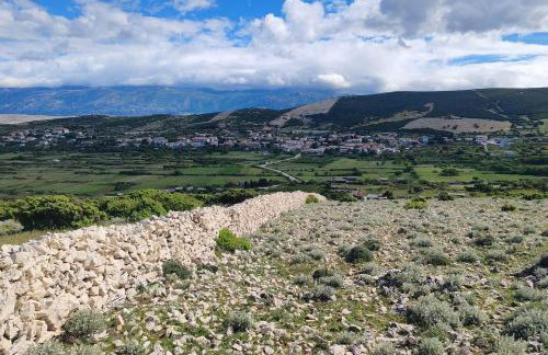 Apartments with parking space Kolan, Pag - 16482 - Photo 13