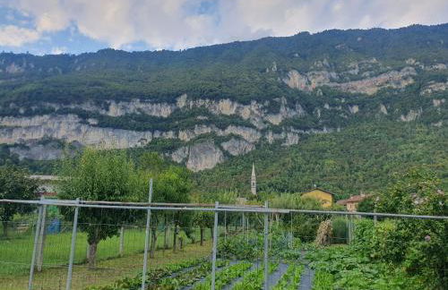 Antico Borgo Fonzaso - Photo 24