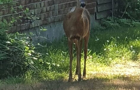 Well-equipped Beachside Cottage - Foto 27