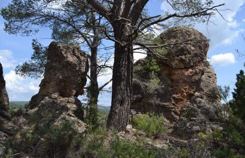 Casa Abuelo Lorenzo - Foto 64