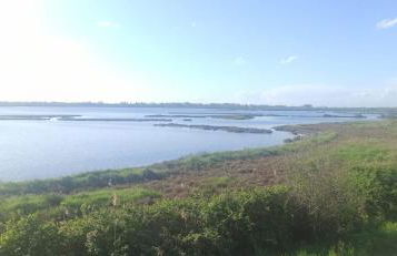 Casa Vacanze Nel Delta del Po - Foto 54