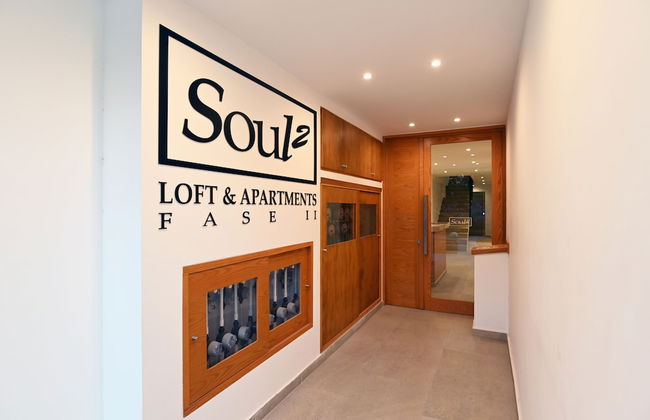 Soul fase 2 - Foto 23