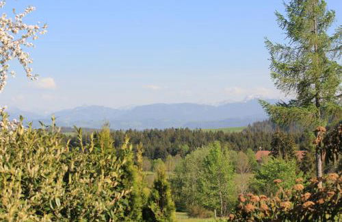 Kuh Heimat - Bergblick - Terrasse - Photo 26