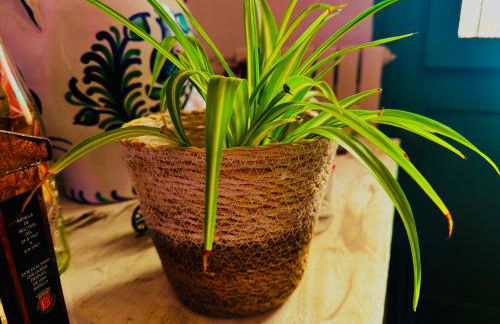 Casa Rural al Sol De Las Ruinas- piscina privada - Foto 49