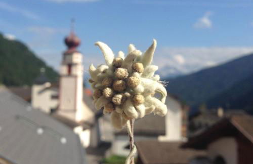 Zangerlehof - Foto 9