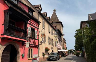 Le Nid du Veilleur-10min de Colmar - Photo 25