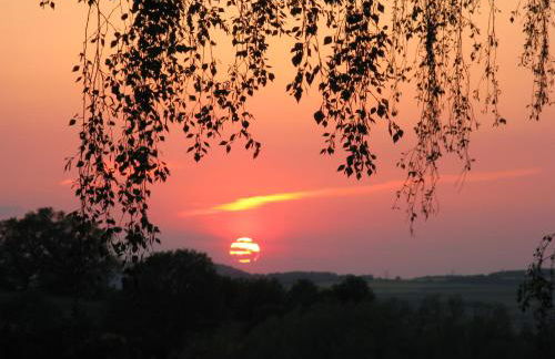 Ferienwohnung zur Burg Eltz - Foto 16