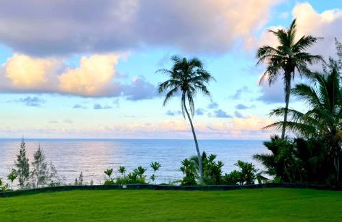 Oceanfront Treehouse at Hakalau with Kitchen - Foto 8