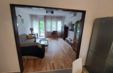 Little cherry - Photo 15