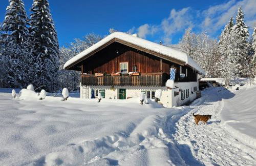 Nattersbergalm - Foto 16