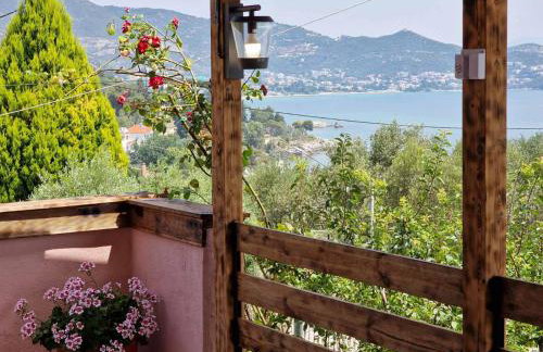 Stella's Garden - Foto 32