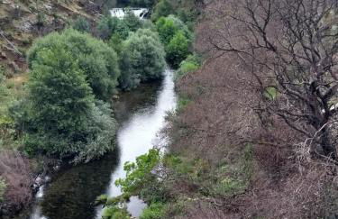 Casa D.Dinis - Foto 30