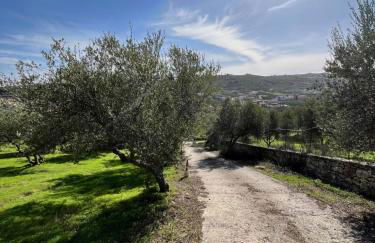 The Olive Grove Villas with large swimming pool - Foto 22