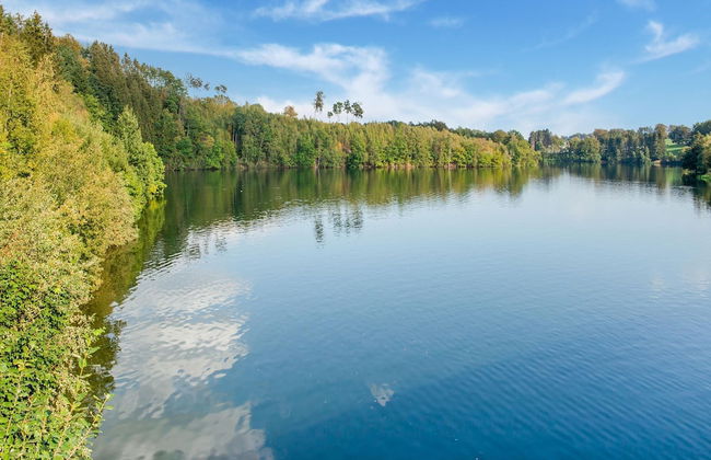 Pretty House in the Ardennes With Swimming Pool & Games Room - Photo 39