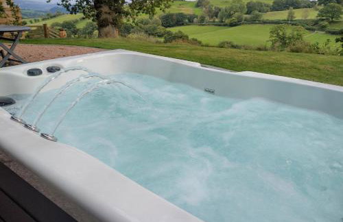 Little Acorn - Luxury shepherd's hut / lodge with private hot tub and garden - Foto 12