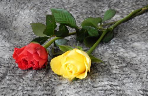 WEITBLICK "entspannen - wohlfühlen - aktiv erholen" - Foto 16