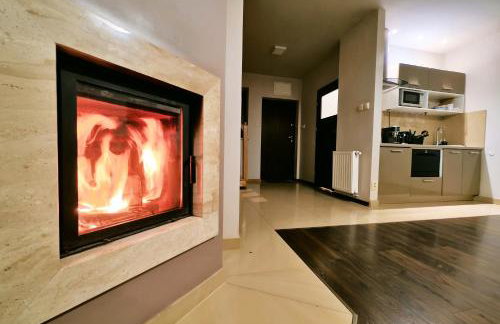 Apartamenty Pod Łysicą & SPA - przy stoku, basen, jacuzzi, sauna - Foto 27