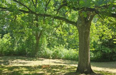 Dom z linią brzegową Narwi 3 - Photo 6