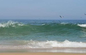 Casa da Mata - Foto 45