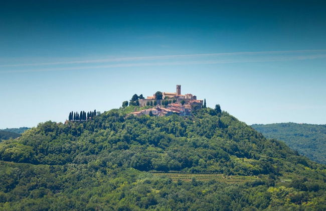 Authentic Villa Banić - Foto 45
