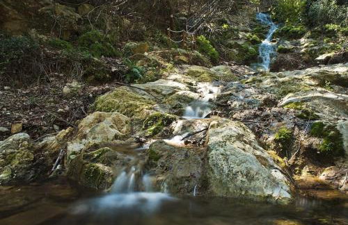 Αρχοντικό FoRRest - Foto 28