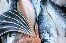 Apartmani Roxy - Foto 30