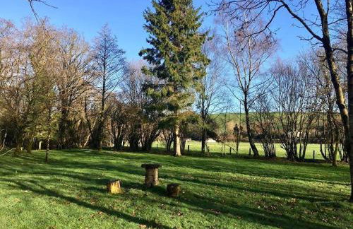 Daffodil House , West Wales - Foto 22