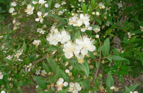 Agriturismo Sa Tanca Noa - Photo 69