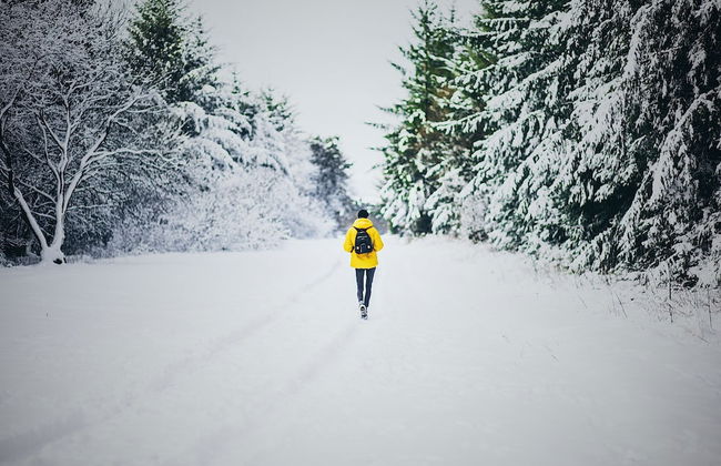 Vildmarks Lodge - Photo 27